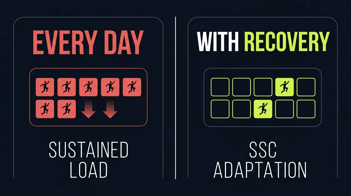 Daily plyometric training versus training with recovery days comparison, fatigue build-up versus spaced adaptation