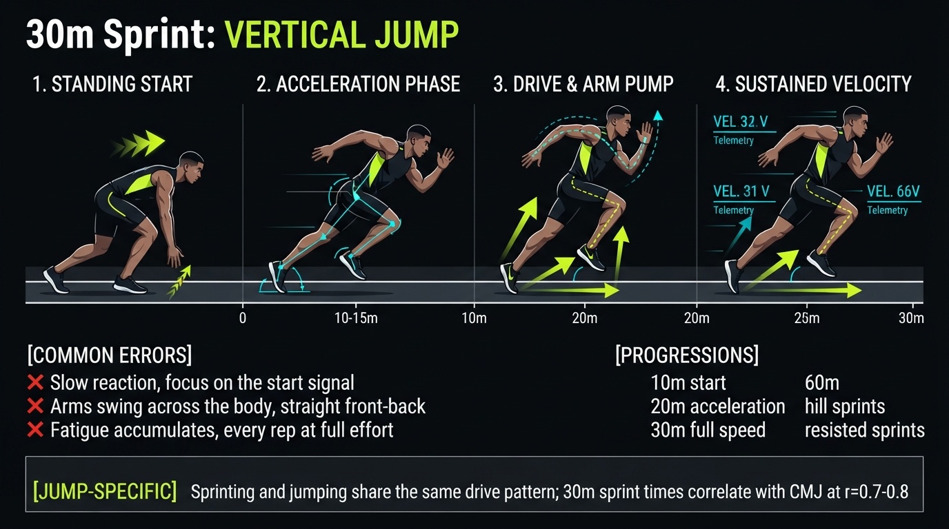 30m Sprint 4-step technique breakdown: setup, execution, peak extension, and recovery for vertical jump training